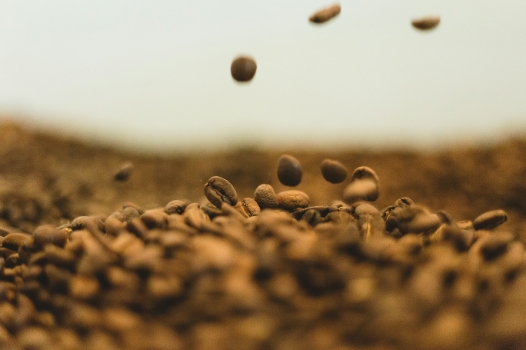 zoomed in image of coffee beans with the background blurred